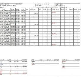 Propass My SQL PDKS Rapor Örnekleri